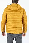 Куртка демисезонная мужская желтая NF-174821 smallphoto 3